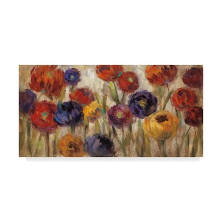 Silvia Vassileva 'Asters And Mums' Canvas Art,16x32